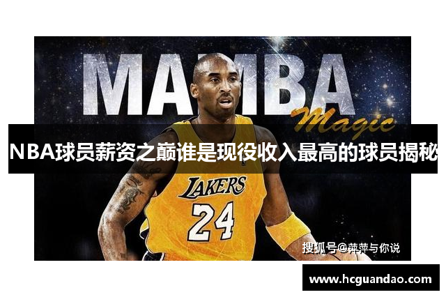 NBA球员薪资之巅谁是现役收入最高的球员揭秘