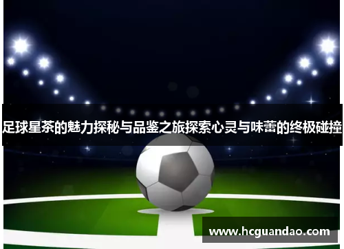 足球星茶的魅力探秘与品鉴之旅探索心灵与味蕾的终极碰撞