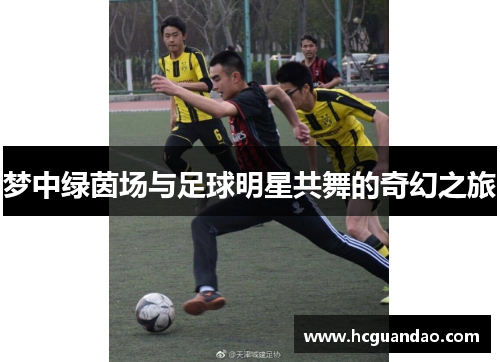 梦中绿茵场与足球明星共舞的奇幻之旅