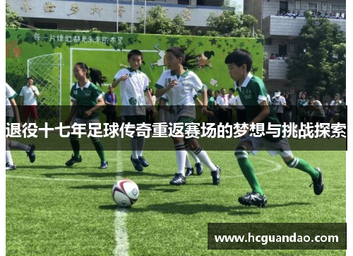 退役十七年足球传奇重返赛场的梦想与挑战探索