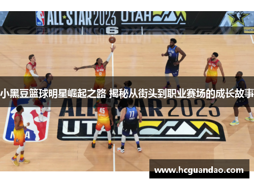 小黑豆篮球明星崛起之路 揭秘从街头到职业赛场的成长故事