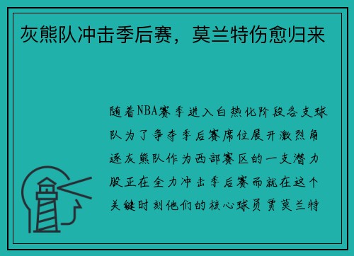 灰熊队冲击季后赛，莫兰特伤愈归来